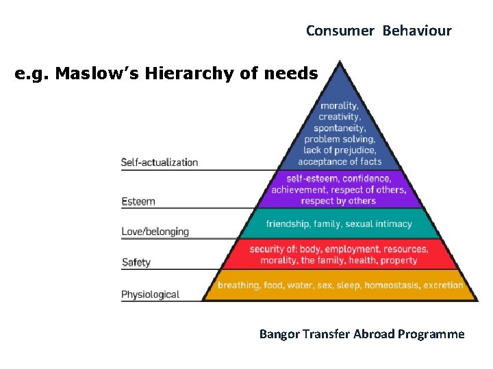 Consumer Behaviour e. g. Maslow’s Hierarchy of needs Bangor Transfer Abroad Programme 
