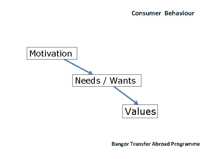 Consumer Behaviour Motivation Needs / Wants Values Bangor Transfer Abroad Programme 