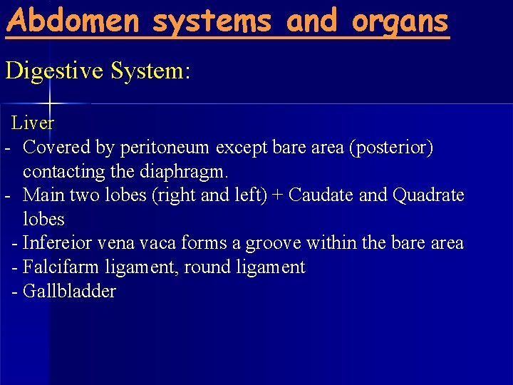 Abdomen systems and organs Digestive System: Liver - Covered by peritoneum except bare area