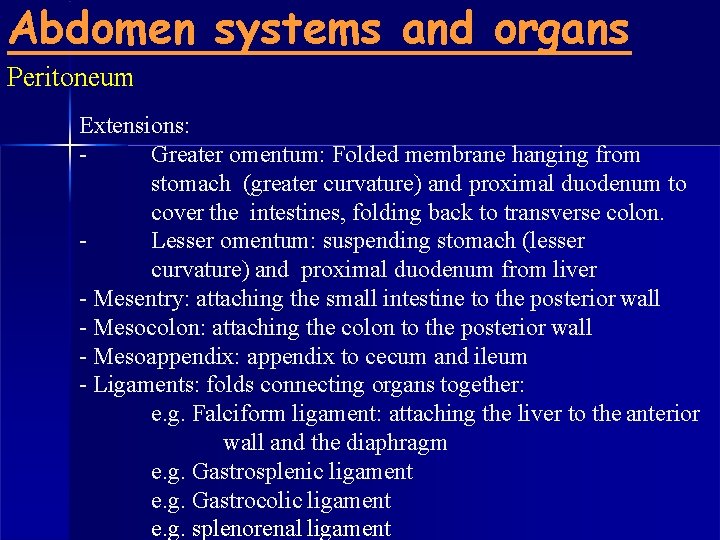 Abdomen systems and organs Peritoneum Extensions: Greater omentum: Folded membrane hanging from stomach (greater