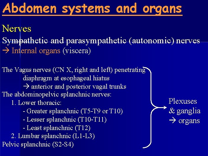 Abdomen systems and organs Nerves Sympathetic and parasympathetic (autonomic) nerves Internal organs (viscera) The