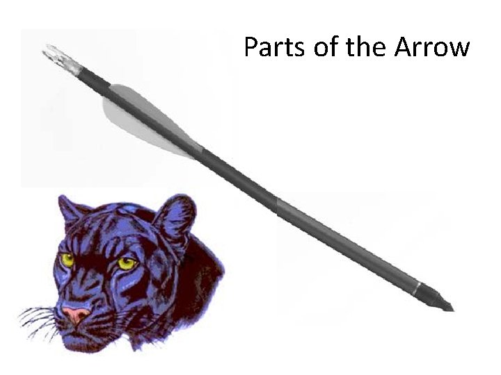 Parts of the Arrow 