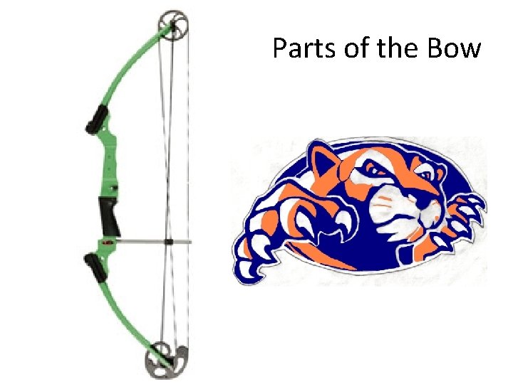 Parts of the Bow 
