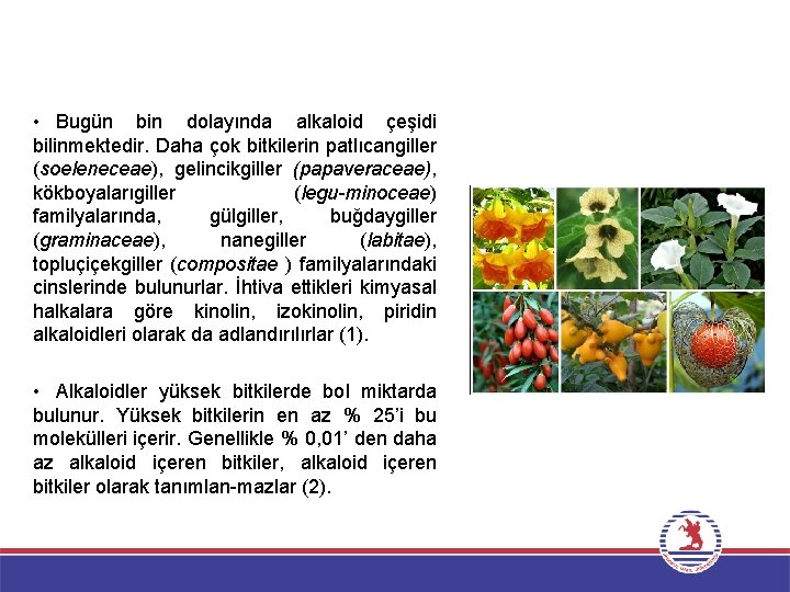  • Bugün bin dolayında alkaloid çeşidi bilinmektedir. Daha çok bitkilerin patlıcangiller (soeleneceae), gelincikgiller