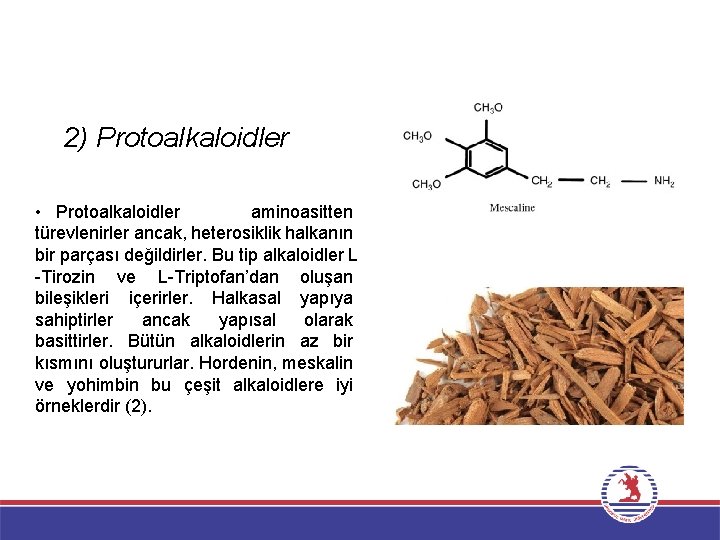 2) Protoalkaloidler • Protoalkaloidler aminoasitten türevlenirler ancak, heterosiklik halkanın bir parçası değildirler. Bu tip
