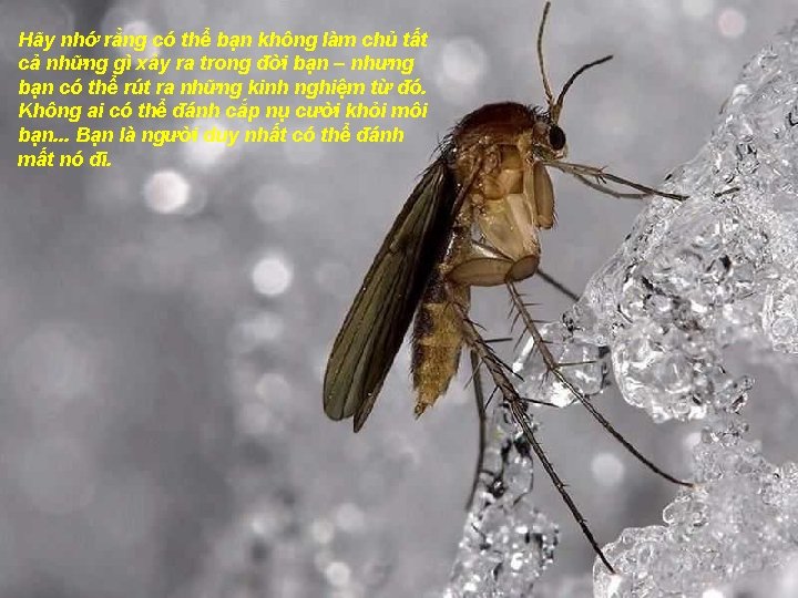 Hãy nhớ rằng có thể bạn không làm chủ tất cả những gì xảy