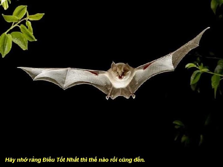 Hãy nhớ rằng Điều Tốt Nhất thì thế nào rồi cũng đến. 