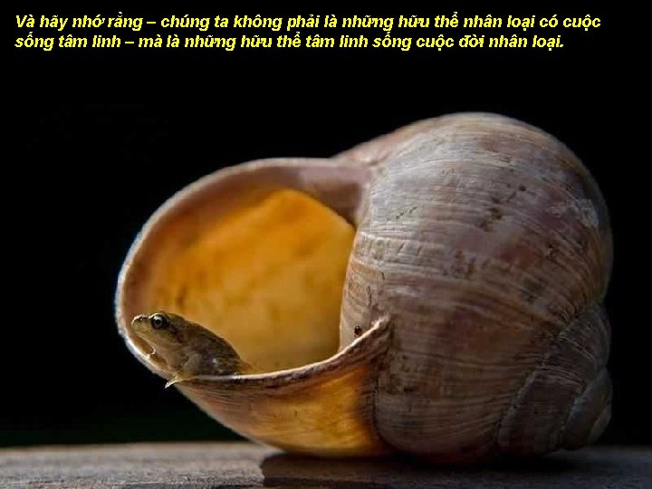 Và hãy nhớ rằng – chúng ta không phải là những hữu thể nhân