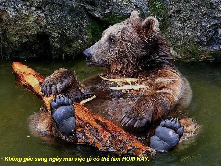 Không gác sang ngày mai việc gì có thể làm HÔM NAY. 