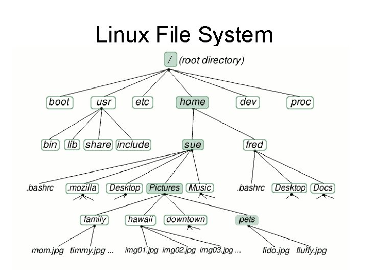 Linux File System Linux File System