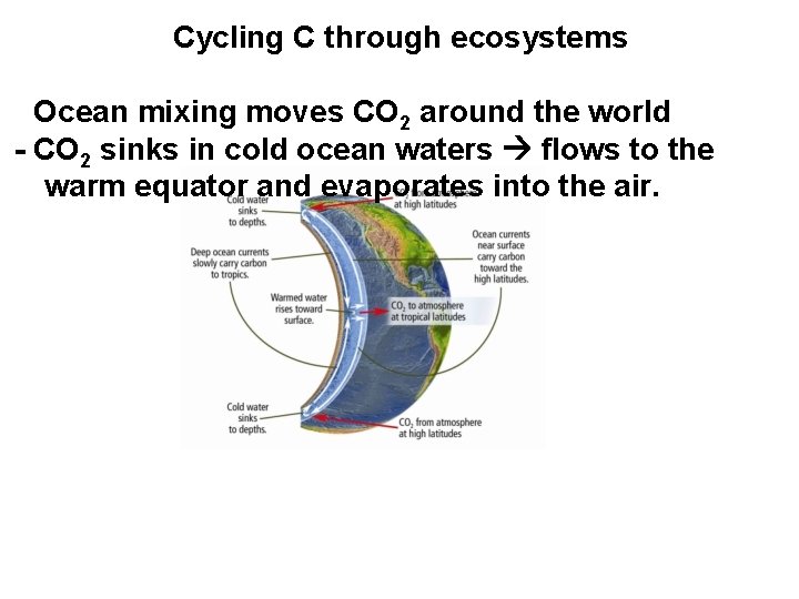 Cycling C through ecosystems - Ocean mixing moves CO 2 around the world -