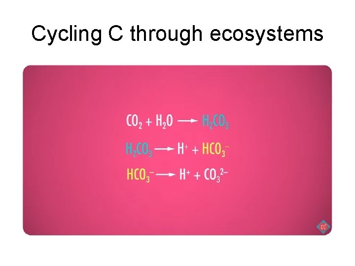 Cycling C through ecosystems 