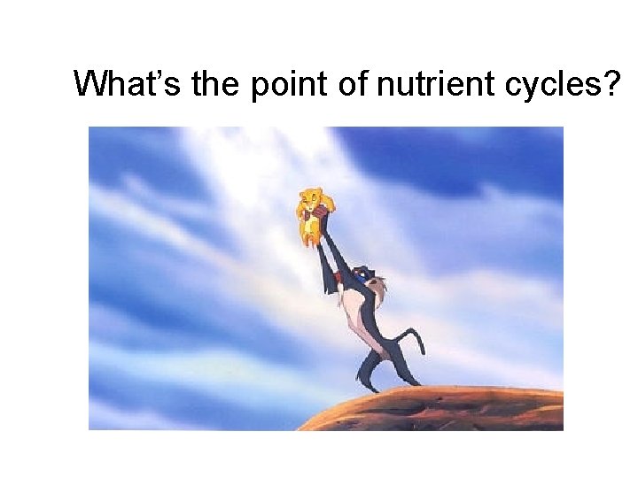 What’s the point of nutrient cycles? 