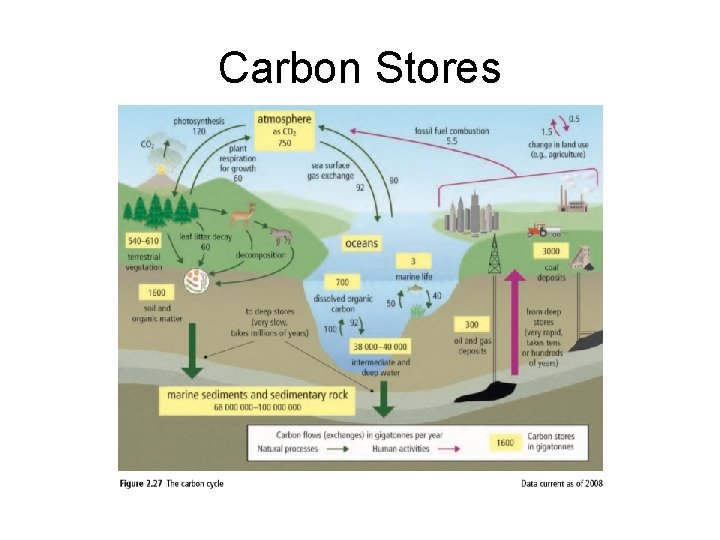 Carbon Stores 