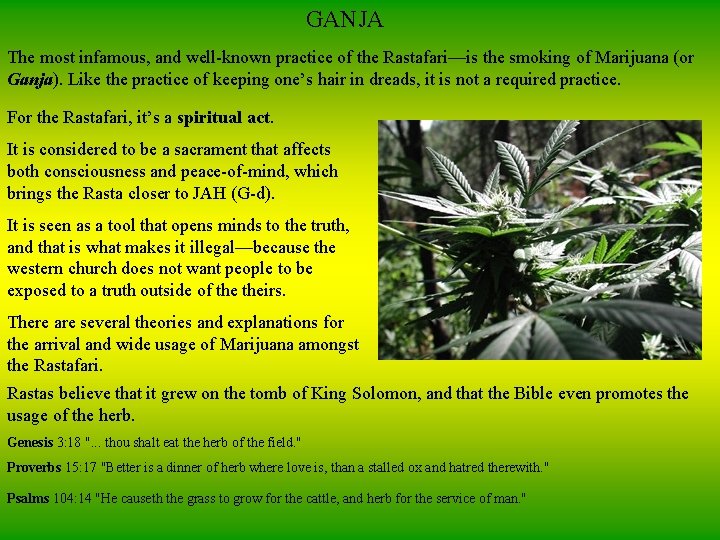 GANJA The most infamous, and well-known practice of the Rastafari—is the smoking of Marijuana