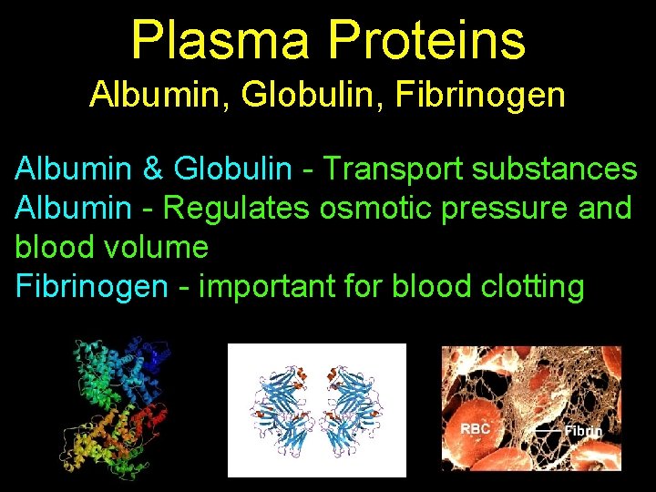 Plasma Proteins Albumin, Globulin, Fibrinogen Albumin & Globulin - Transport substances Albumin - Regulates