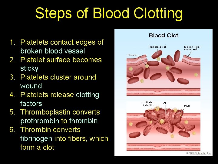 Steps of Blood Clotting 1. Platelets contact edges of broken blood vessel 2. Platelet