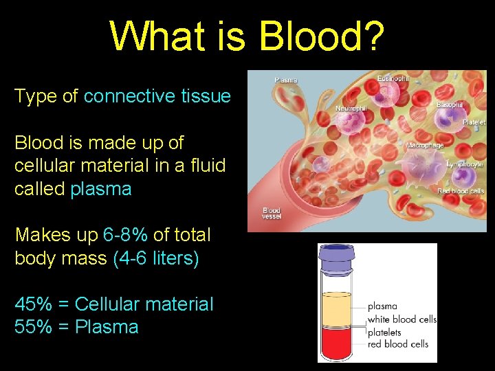 What is Blood? Type of connective tissue Blood is made up of cellular material