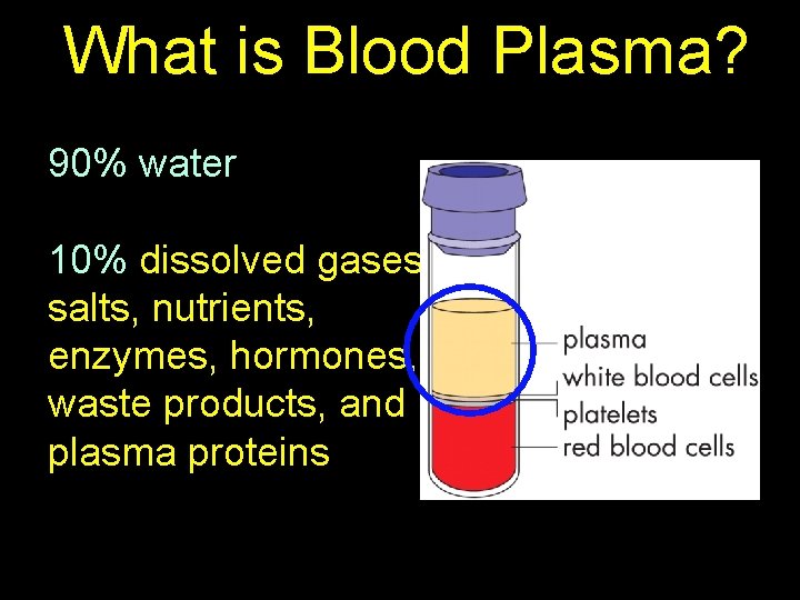 What is Blood Plasma? 90% water 10% dissolved gases, salts, nutrients, enzymes, hormones, waste