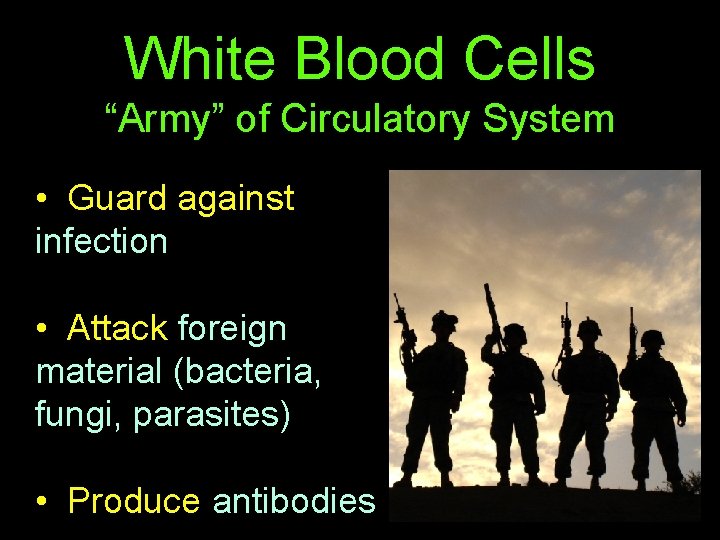 White Blood Cells “Army” of Circulatory System • Guard against infection • Attack foreign