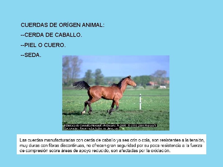 CUERDAS DE ORÍGEN ANIMAL: --CERDA DE CABALLO. --PIEL O CUERO. --SEDA. 