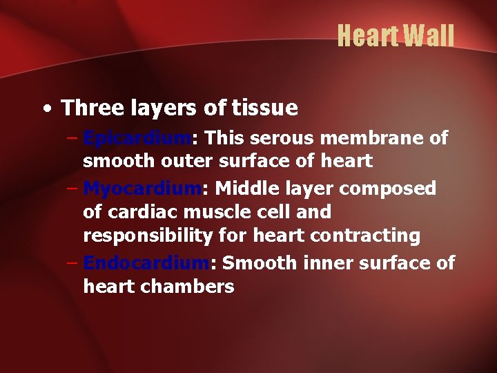 Heart Wall • Three layers of tissue – Epicardium: This serous membrane of smooth