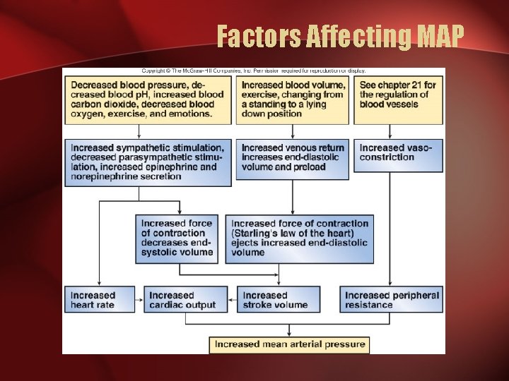 Factors Affecting MAP 