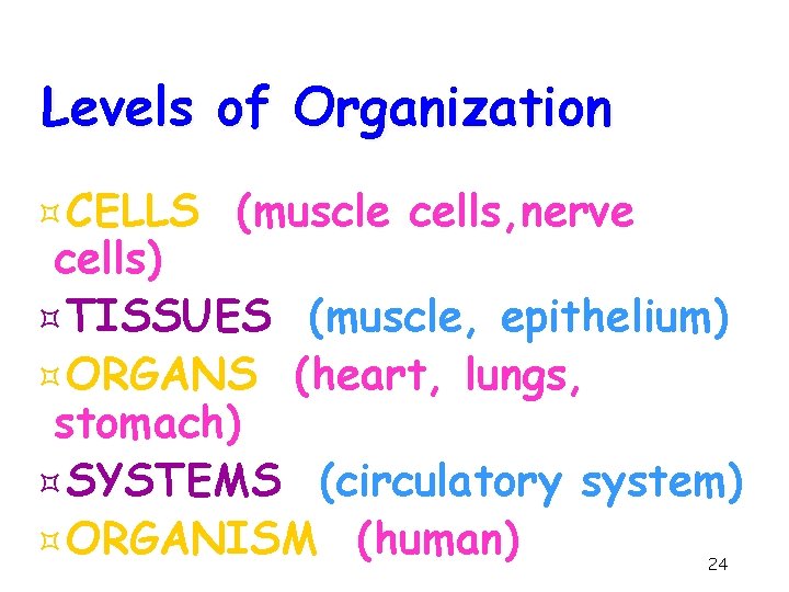 Levels of Organization ³CELLS (muscle cells, nerve cells) ³TISSUES (muscle, epithelium) ³ORGANS (heart, lungs,