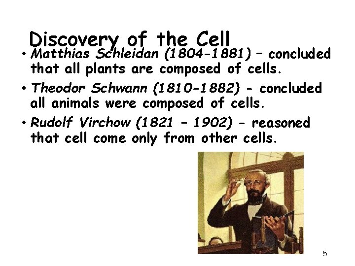 Discovery of the Cell • Matthias Schleidan (1804 -1881) – concluded that all plants