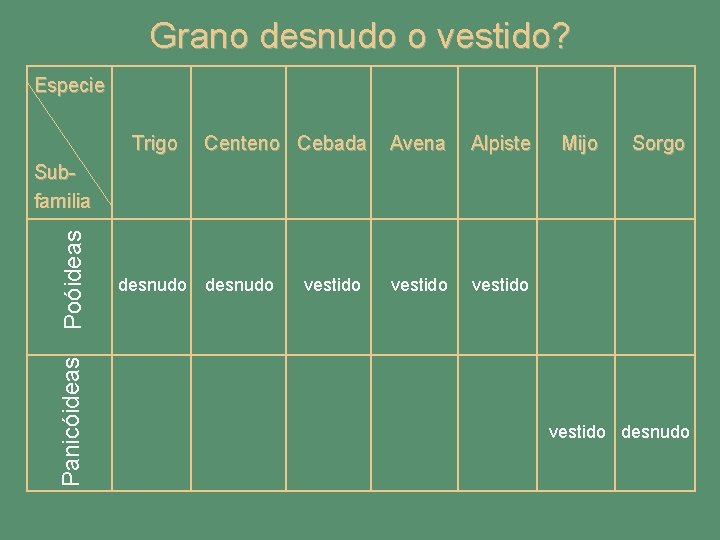 Grano desnudo o vestido? Especie Trigo Centeno Cebada Avena Alpiste vestido Mijo Sorgo Panicóideas