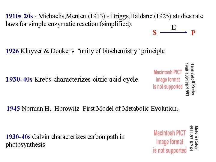 1910 s-20 s - Michaelis, Menten (1913) - Briggs, Haldane (1925) studies rate laws