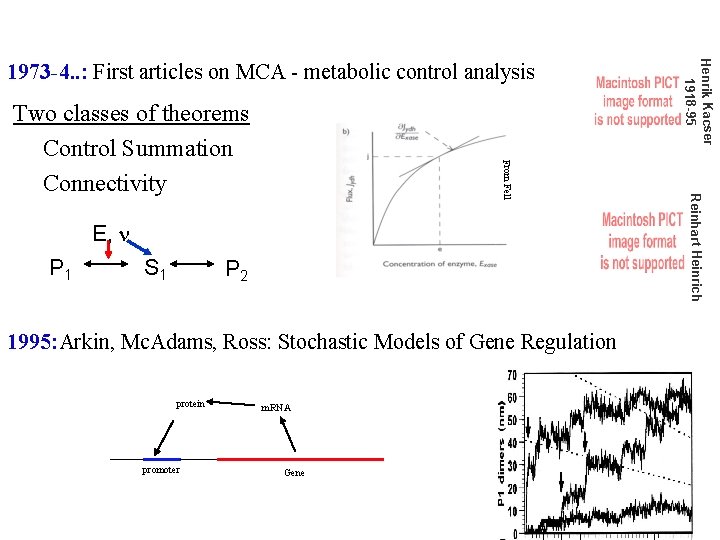 E, n P 1 S 1 P 2 1995: Arkin, Mc. Adams, Ross: Stochastic