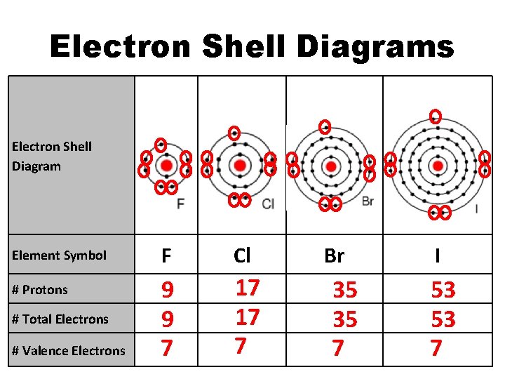 Electron Shell Diagrams Electron Shell Diagram Element Symbol # Protons # Total Electrons # Electron Shell Diagrams Electron Shell Diagram Element Symbol # Protons # Total Electrons #