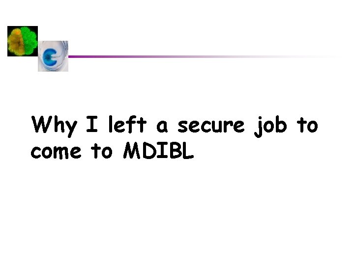 Why I left a secure job to come to MDIBL 