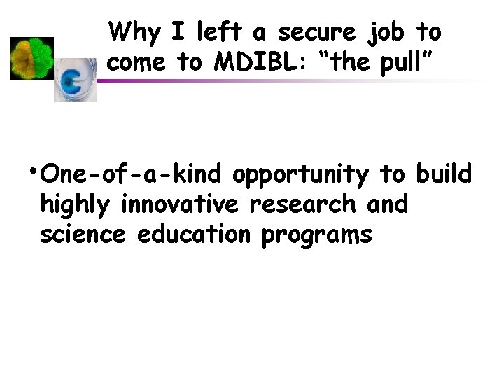 Why I left a secure job to come to MDIBL: “the pull” • One-of-a-kind