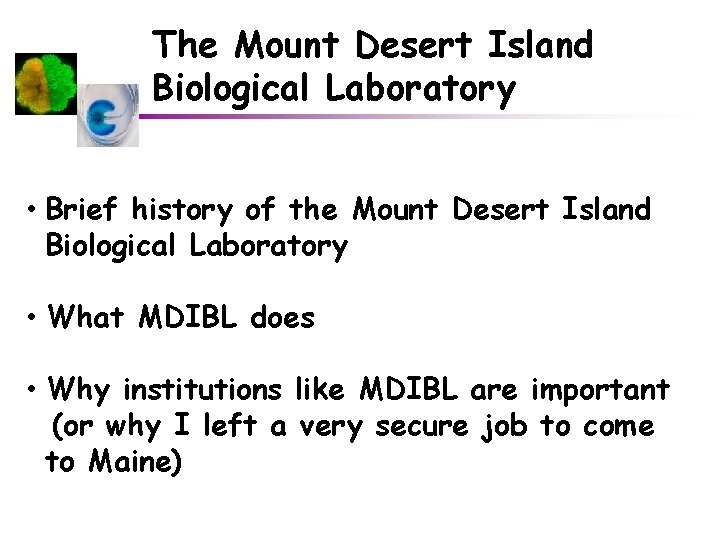 The Mount Desert Island Biological Laboratory what it