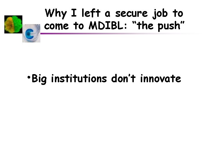 Why I left a secure job to come to MDIBL: “the push” • Big