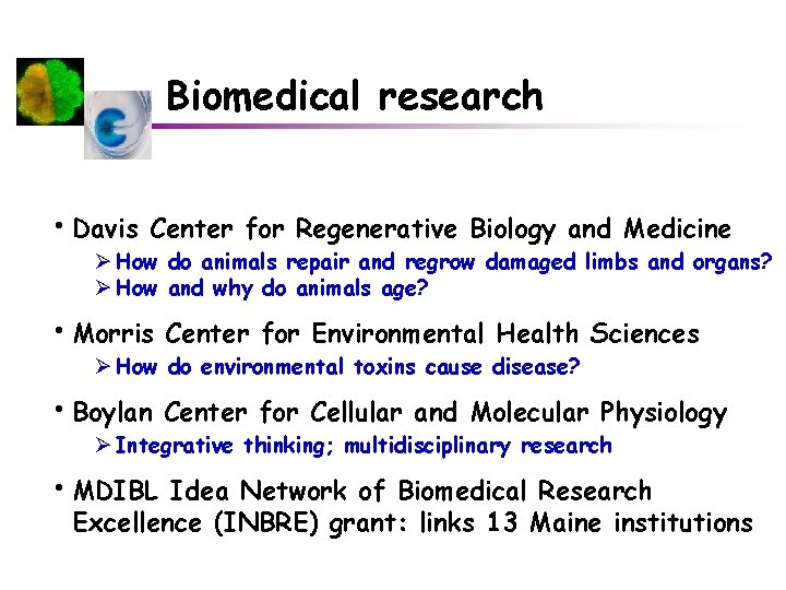 Biomedical research • Davis Center for Regenerative Biology and Medicine Ø How do animals