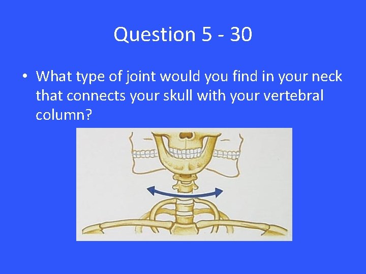 Question 5 - 30 • What type of joint would you find in your