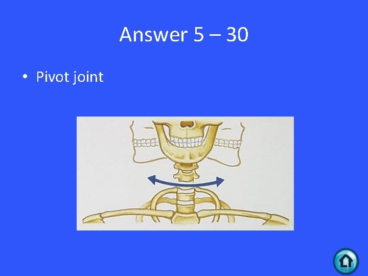 Answer 5 – 30 • Pivot joint 