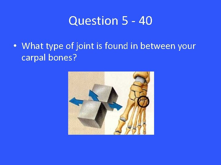 Question 5 - 40 • What type of joint is found in between your