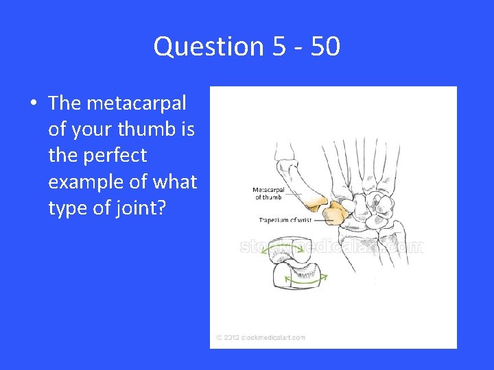 Question 5 - 50 • The metacarpal of your thumb is the perfect example