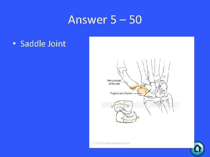 Answer 5 – 50 • Saddle Joint 