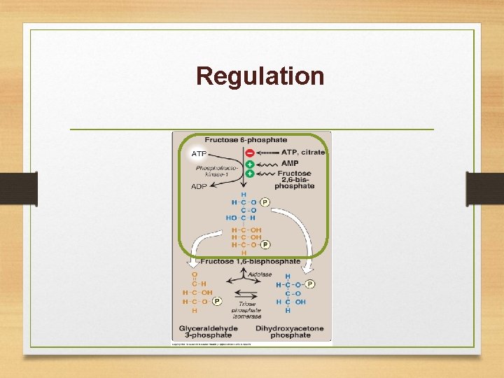 Regulation 