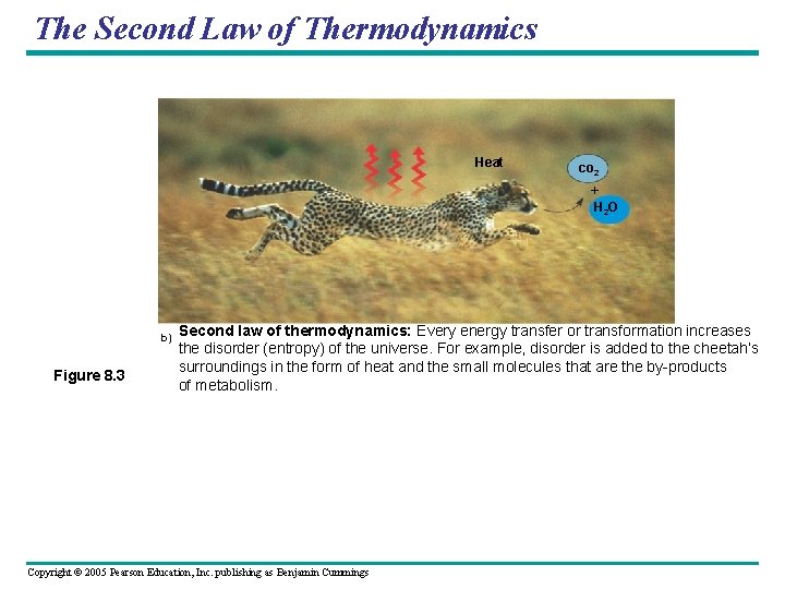 The Second Law of Thermodynamics Heat co 2 + H 2 O b) Figure