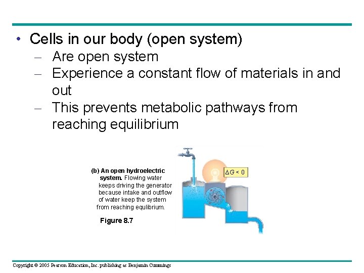  • Cells in our body (open system) – Are open system – Experience