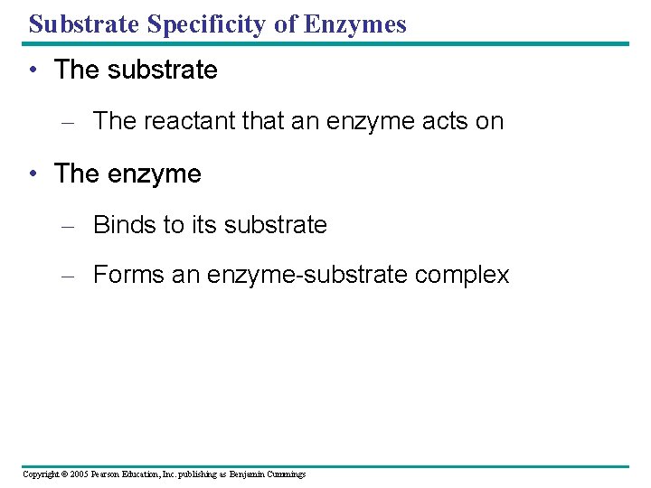 Substrate Specificity of Enzymes • The substrate – The reactant that an enzyme acts
