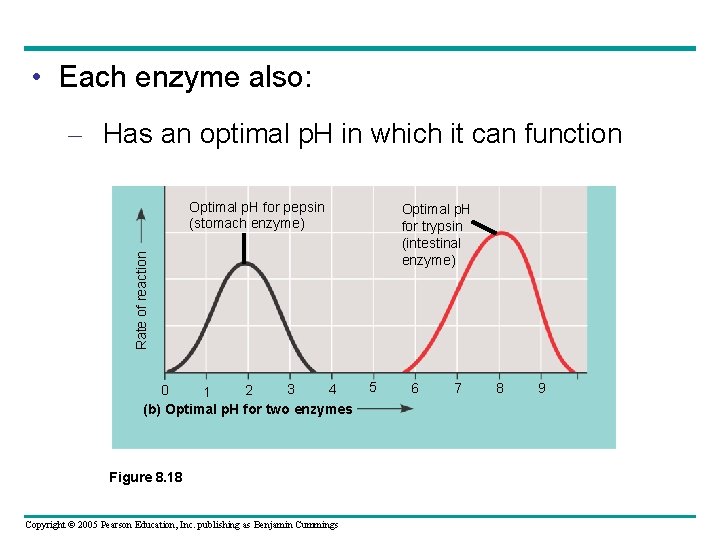  • Each enzyme also: – Has an optimal p. H in which it