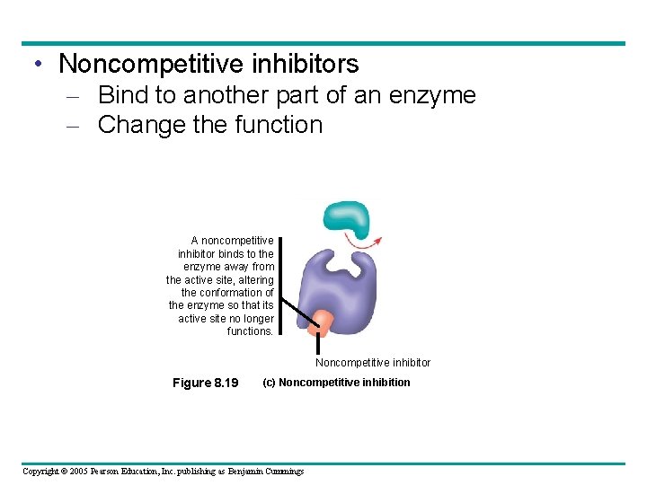  • Noncompetitive inhibitors – Bind to another part of an enzyme – Change