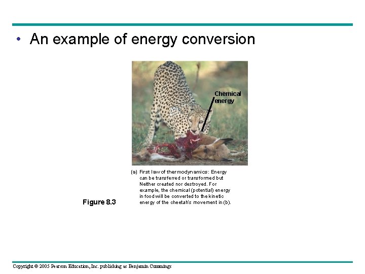  • An example of energy conversion Chemical energy Figure 8. 3 (a) First